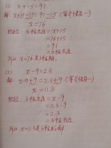 什么是解方程(什么是解方程组的基本思想)