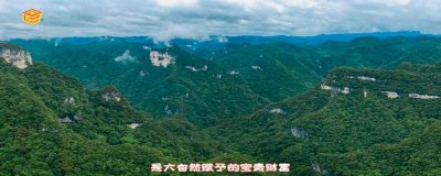 保护野生动物的重要性