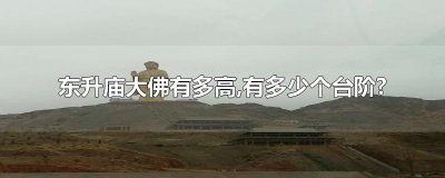 东升庙大佛有多高,有多少个台阶?