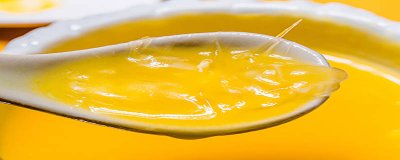 鱼翅是鲨鱼鱼鳍中的什么 鲨鱼鱼翅是哪个部位