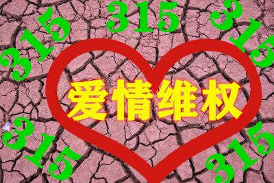 315是什么意思爱情(315的爱情含义)