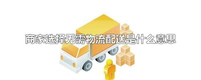 商家选择无需物流配送是什么意思