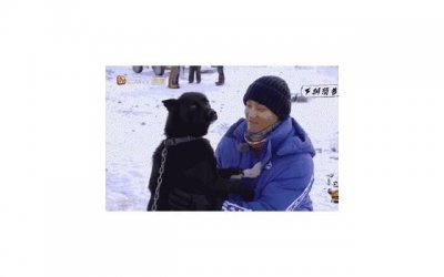 强迫是什么心理症状