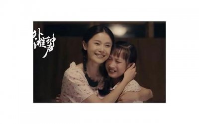 菊花的外形介绍,从颜色到形状,你想知道的都在这里