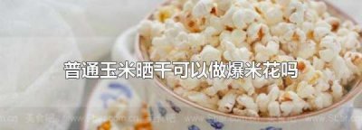 普通玉米晒干可以做爆米花,普通玉米能不能做爆米花?