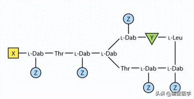 多粘菌素:历史、结构、抗菌活性