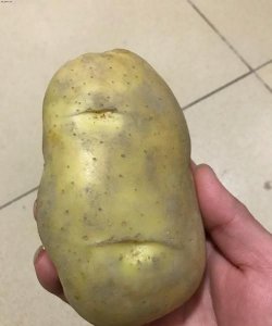 生土豆放冰箱还能吃,生土豆放冰箱还能吃吗