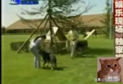 导演酒局称刘亦菲“扬州瘦马”,黑料缠身,被杨采钰拍电影讽刺