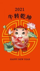 牛转乾坤什么意思是什么生肖?牛转乾坤是啥意思?